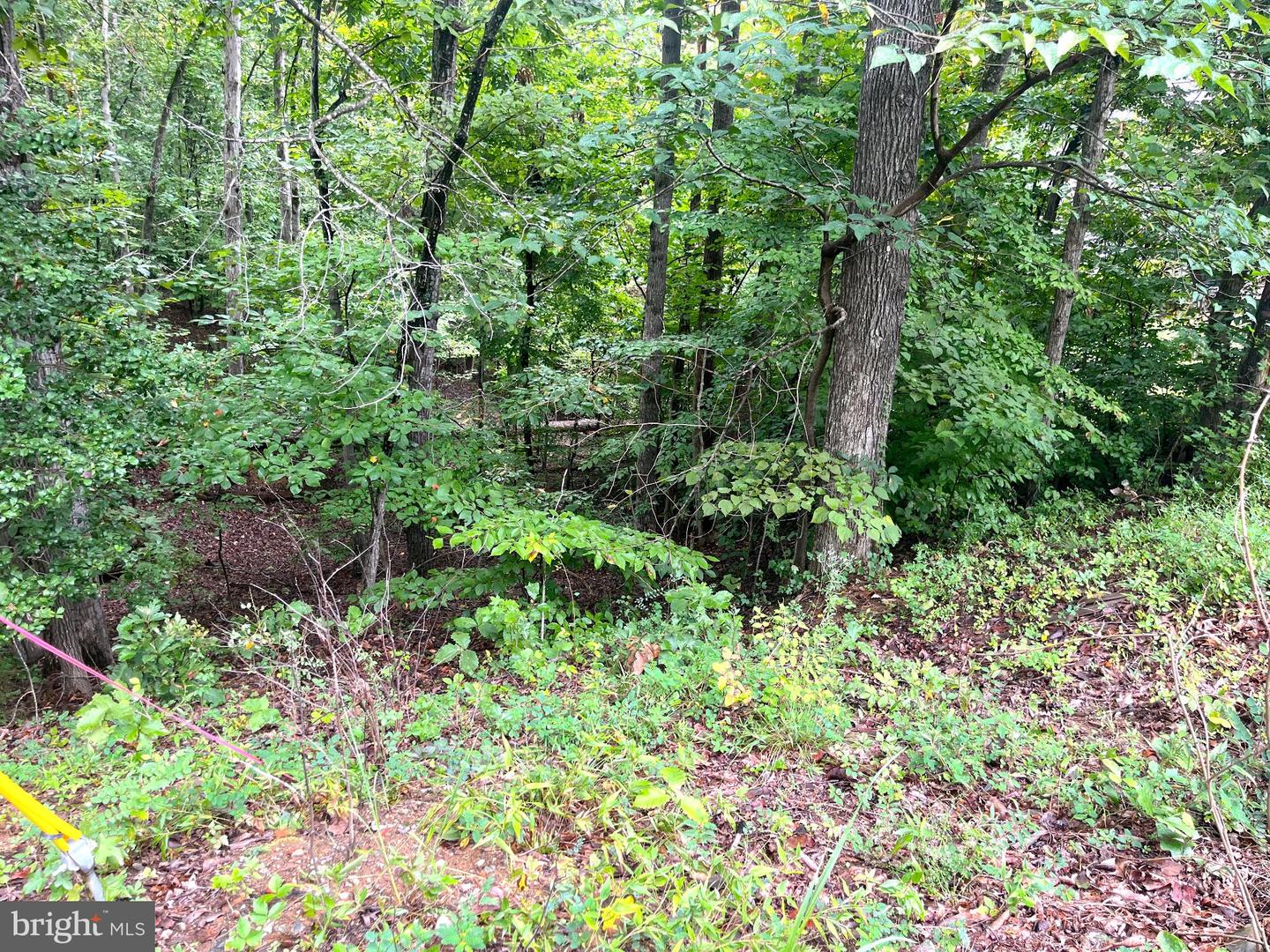 202 SAIL CV, STAFFORD, Virginia 22554, ,Land,For sale,202 SAIL CV,VAST2041946 MLS # VAST2041946