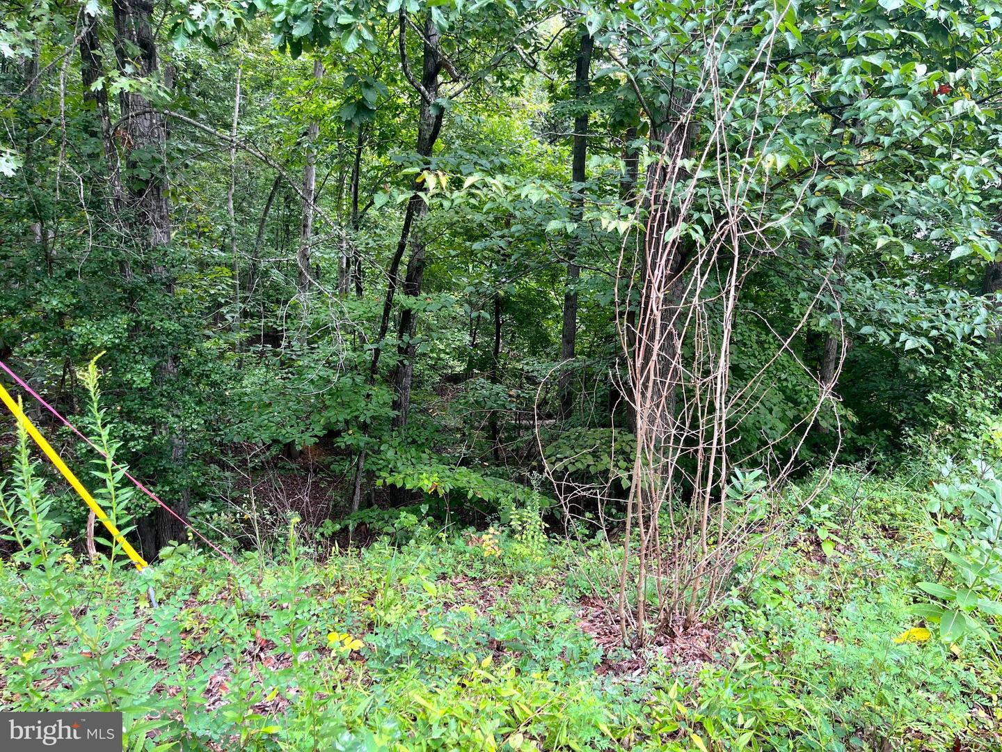 202 SAIL CV, STAFFORD, Virginia 22554, ,Land,For sale,202 SAIL CV,VAST2041946 MLS # VAST2041946