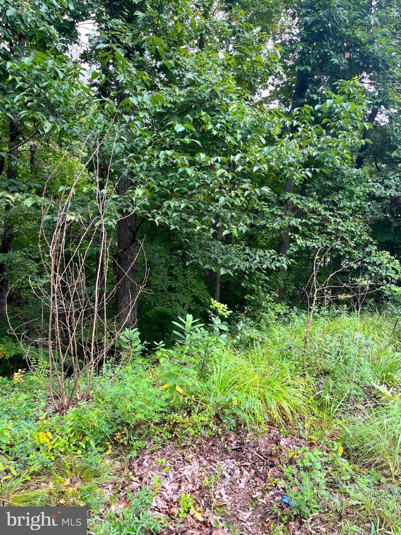 202 SAIL CV, STAFFORD, Virginia 22554, ,Land,For sale,202 SAIL CV,VAST2041946 MLS # VAST2041946