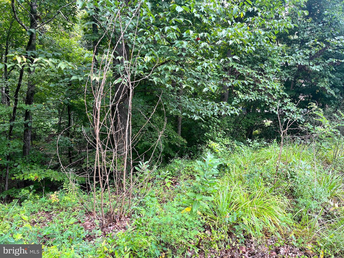 202 SAIL CV, STAFFORD, Virginia 22554, ,Land,For sale,202 SAIL CV,VAST2041946 MLS # VAST2041946