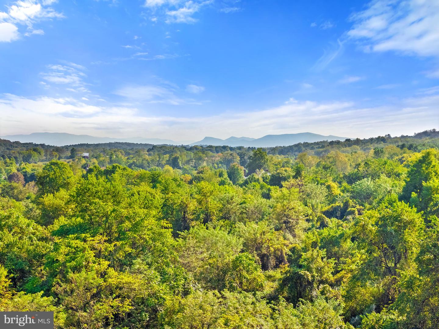 0 CEDAR CREEK GRADE, WINCHESTER, Virginia 22602, ,Land,For sale,0 CEDAR CREEK GRADE,VAFV2036934 MLS # VAFV2036934