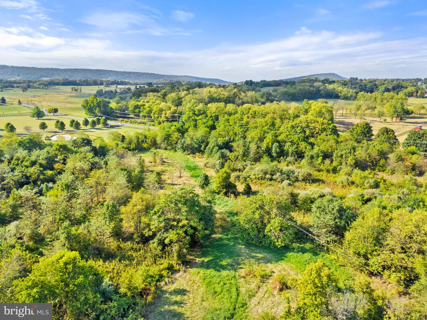 0 CEDAR CREEK GRADE, WINCHESTER, Virginia 22602, ,Land,For sale,0 CEDAR CREEK GRADE,VAFV2036934 MLS # VAFV2036934