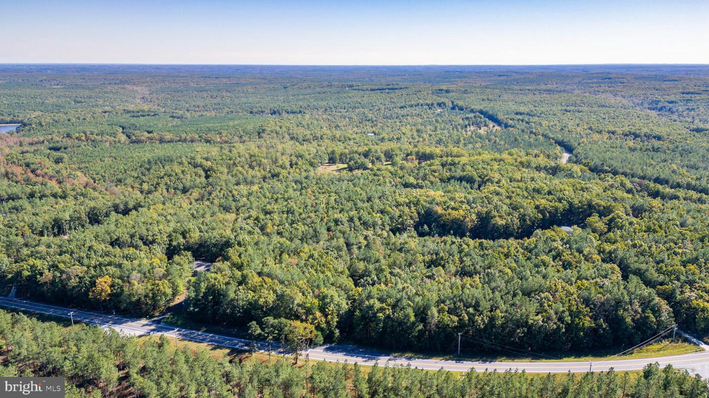 00 OLD COURTHOUSE RD, APPOMATTOX, Virginia 24522, ,Land,For sale,00 OLD COURTHOUSE RD,VAAV2000036 MLS # VAAV2000036 00 OLD COURTHOUSE RD, APPOMATTOX, Virginia 24522, ,Land,For sale,00 OLD COURTHOUSE RD,VAAV2000036 MLS # VAAV2000036