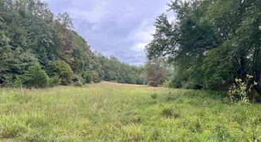 LOT 2A LOOKOUT LN, CULPEPER, Virginia 22701, ,Land,For sale,LOT 2A LOOKOUT LN,VACU2011638 MLS # VACU2011638