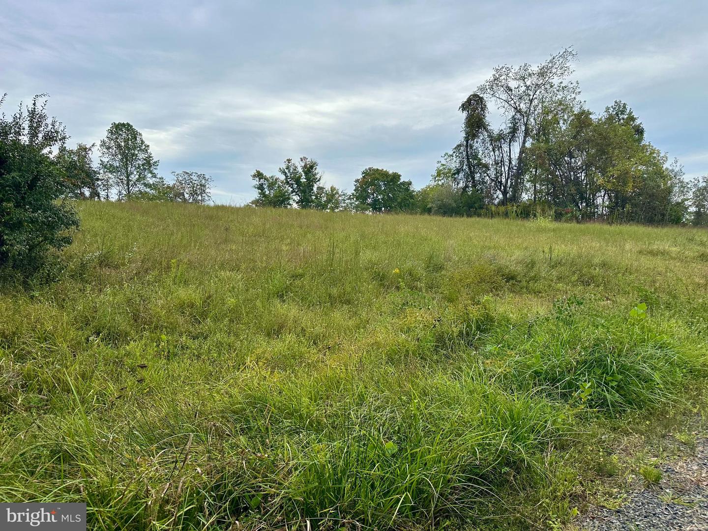 LOTS 2A, 2A1, 2A2 LOOKOUT LN, CULPEPER, Virginia 22701, ,Land,For sale,LOTS 2A, 2A1, 2A2 LOOKOUT LN,VACU2011640 MLS # VACU2011640