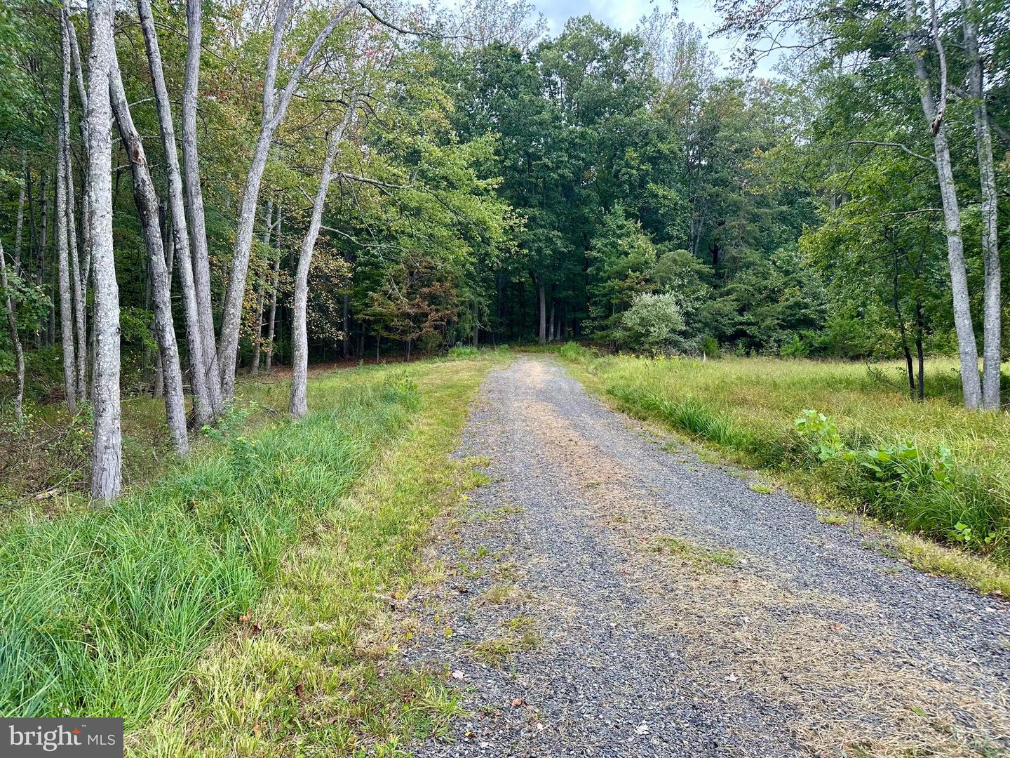 LOTS 2A, 2A1, 2A2 LOOKOUT LN, CULPEPER, Virginia 22701, ,Land,For sale,LOTS 2A, 2A1, 2A2 LOOKOUT LN,VACU2011640 MLS # VACU2011640