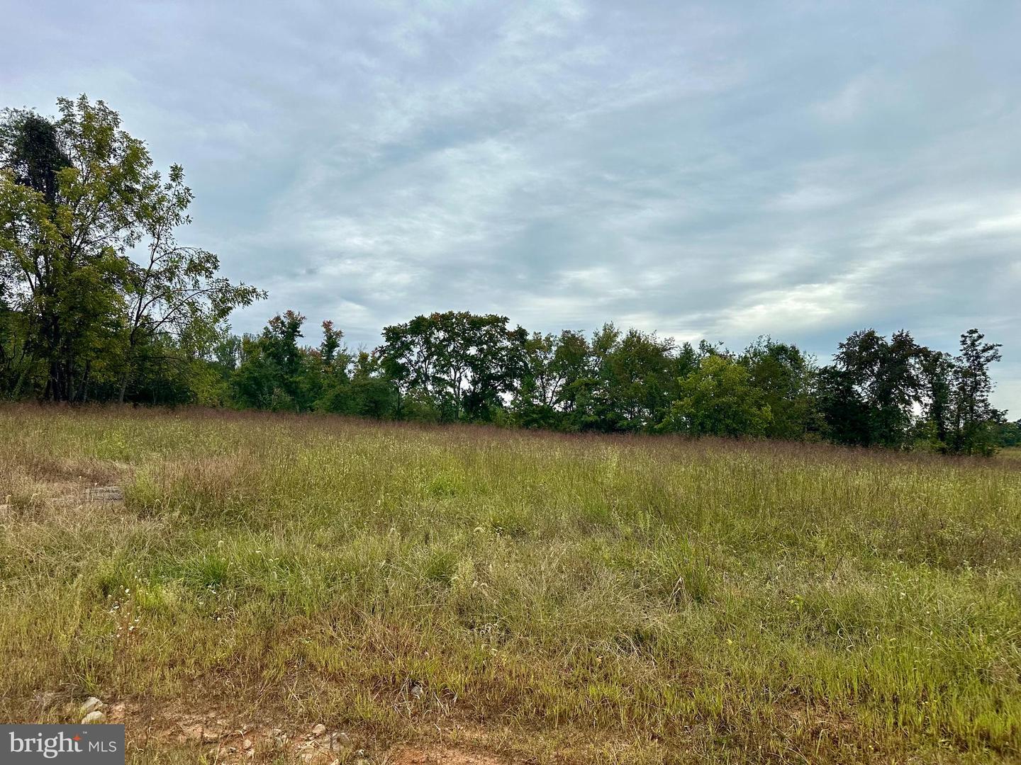 LOTS 2A, 2A1, 2A2 LOOKOUT LN, CULPEPER, Virginia 22701, ,Land,For sale,LOTS 2A, 2A1, 2A2 LOOKOUT LN,VACU2011640 MLS # VACU2011640