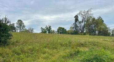 LOTS 2A, 2A1, 2A2 LOOKOUT LN, CULPEPER, Virginia 22701, ,Land,For sale,LOTS 2A, 2A1, 2A2 LOOKOUT LN,VACU2011640 MLS # VACU2011640