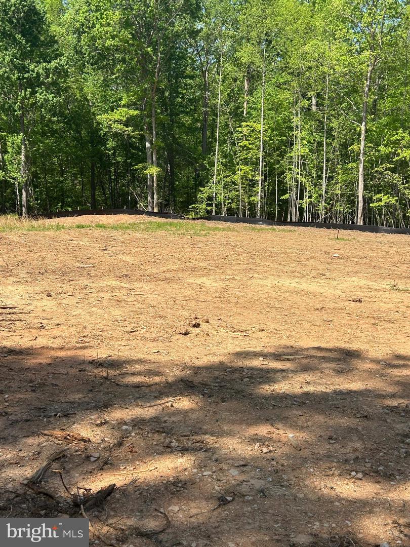 MALLORYS FORD RD, GORDONSVILLE, Virginia 22942, ,Land,For sale,MALLORYS FORD RD,VAOR2012360 MLS # VAOR2012360