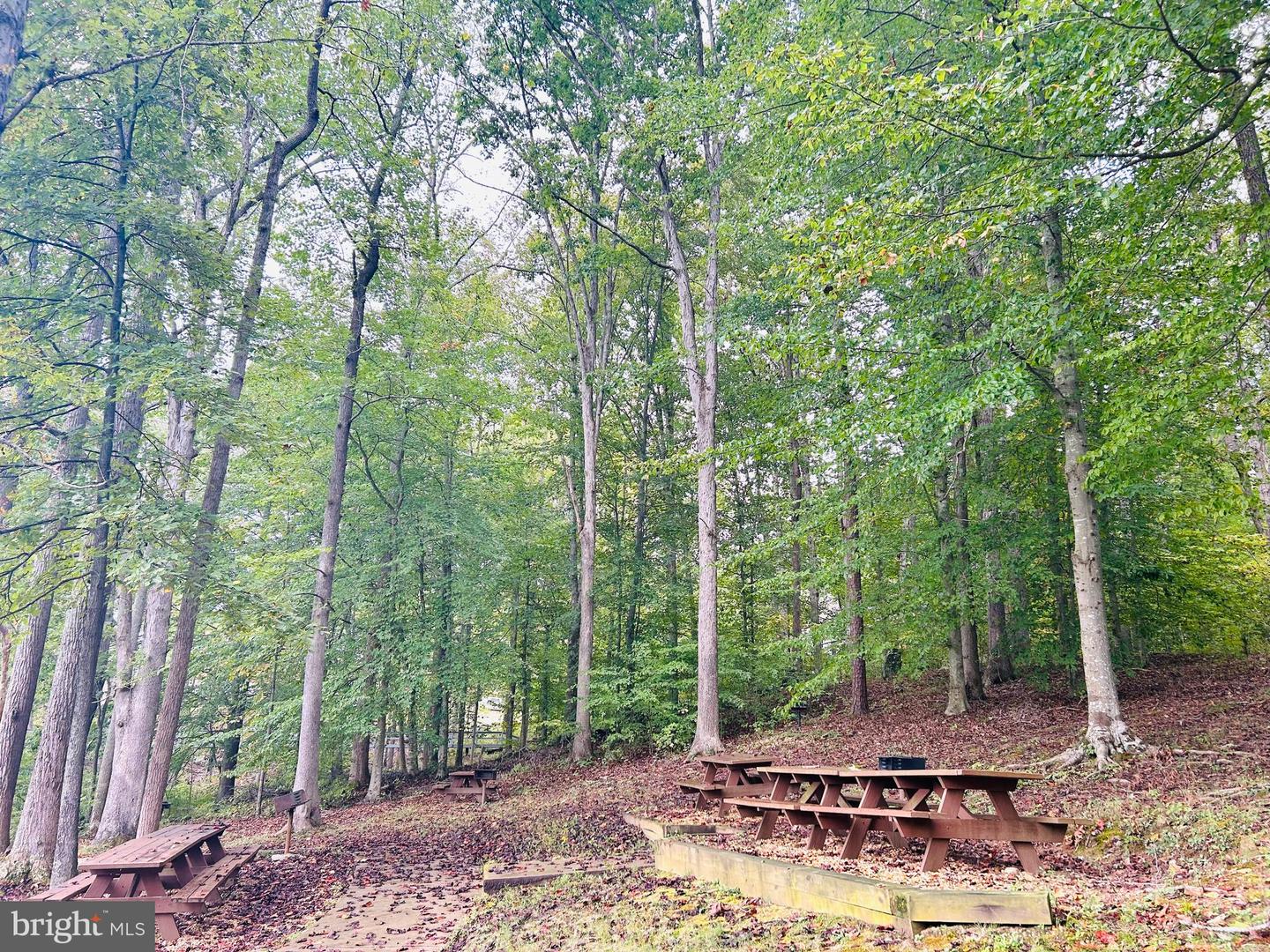 HENSLEY RD, MINERAL, Virginia 23117, ,Land,For sale,HENSLEY RD,VALA2008616 MLS # VALA2008616
