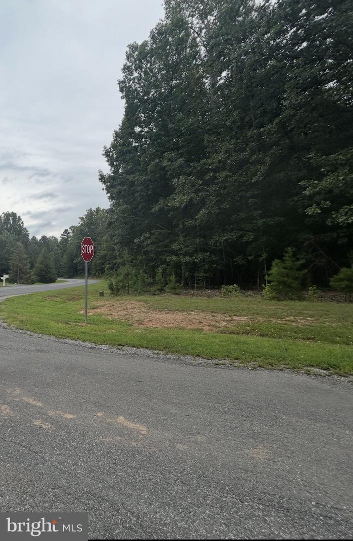 HENSLEY RD, MINERAL, Virginia 23117, ,Land,For sale,HENSLEY RD,VALA2008616 MLS # VALA2008616