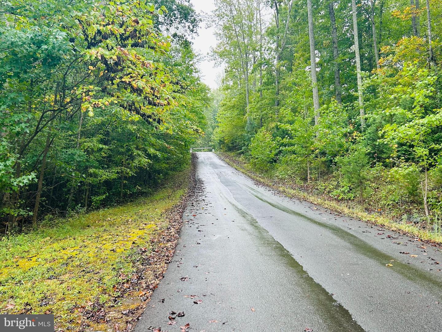 HENSLEY RD, MINERAL, Virginia 23117, ,Land,For sale,HENSLEY RD,VALA2008616 MLS # VALA2008616