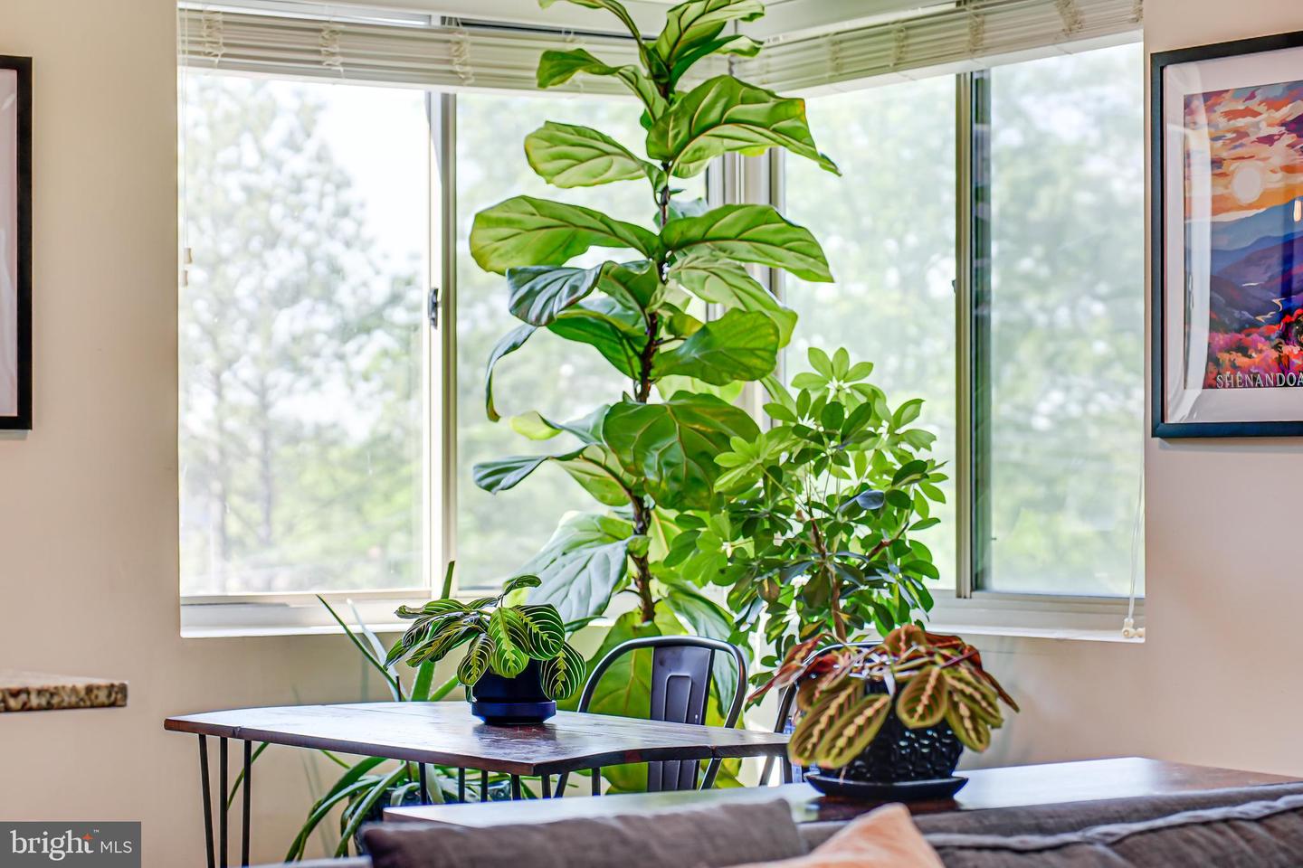 5407 9TH ST NW #310, WASHINGTON, District Of Columbia 20011, 1 Bedroom Bedrooms, 3 Rooms Rooms,1 BathroomBathrooms,Residential,For sale,5407 9TH ST NW #310,DCDC2223408 MLS # DCDC2223408