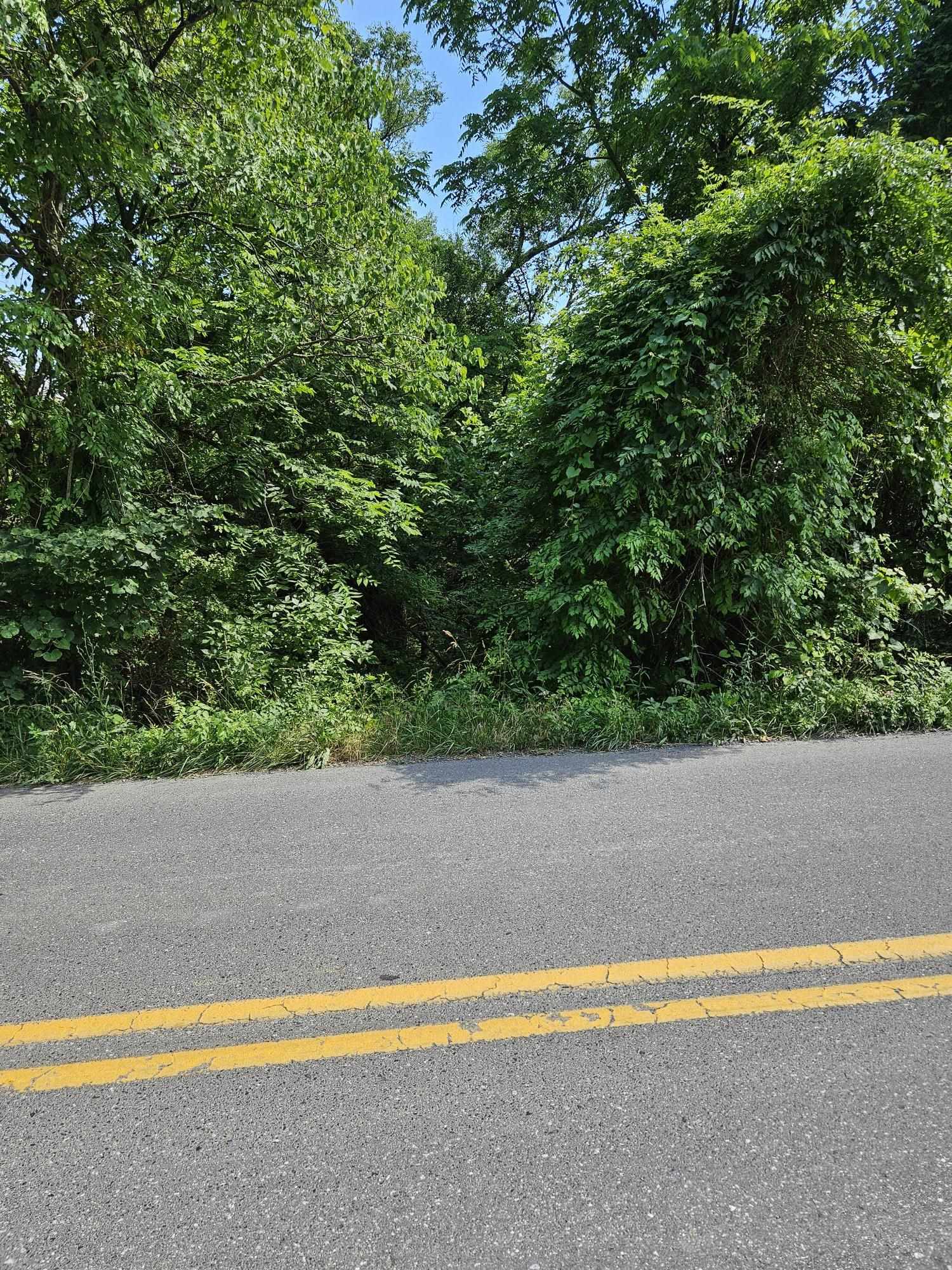 3 acres MOSSY CREEK RD, MOUNT SOLON, Virginia 22843, ,Land,3 acres MOSSY CREEK RD,669327 MLS # 669327