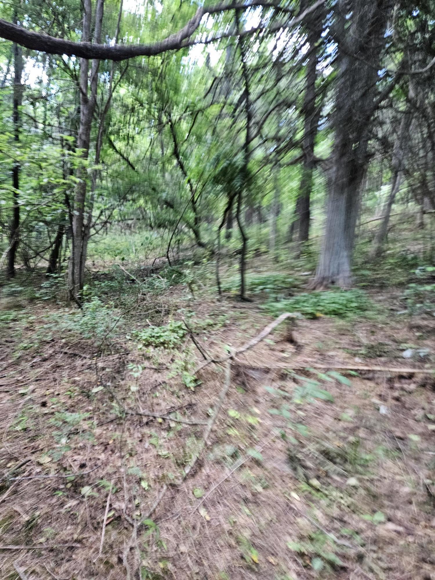 3.39 acres MOSSY CREEK RD, MOUNT SOLON, Virginia 22843, ,Land,3.39 acres MOSSY CREEK RD,669328 MLS # 669328