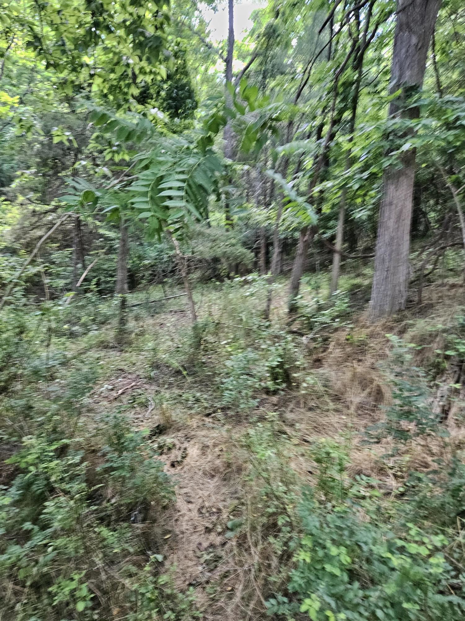 3.39 acres MOSSY CREEK RD, MOUNT SOLON, Virginia 22843, ,Land,3.39 acres MOSSY CREEK RD,669328 MLS # 669328