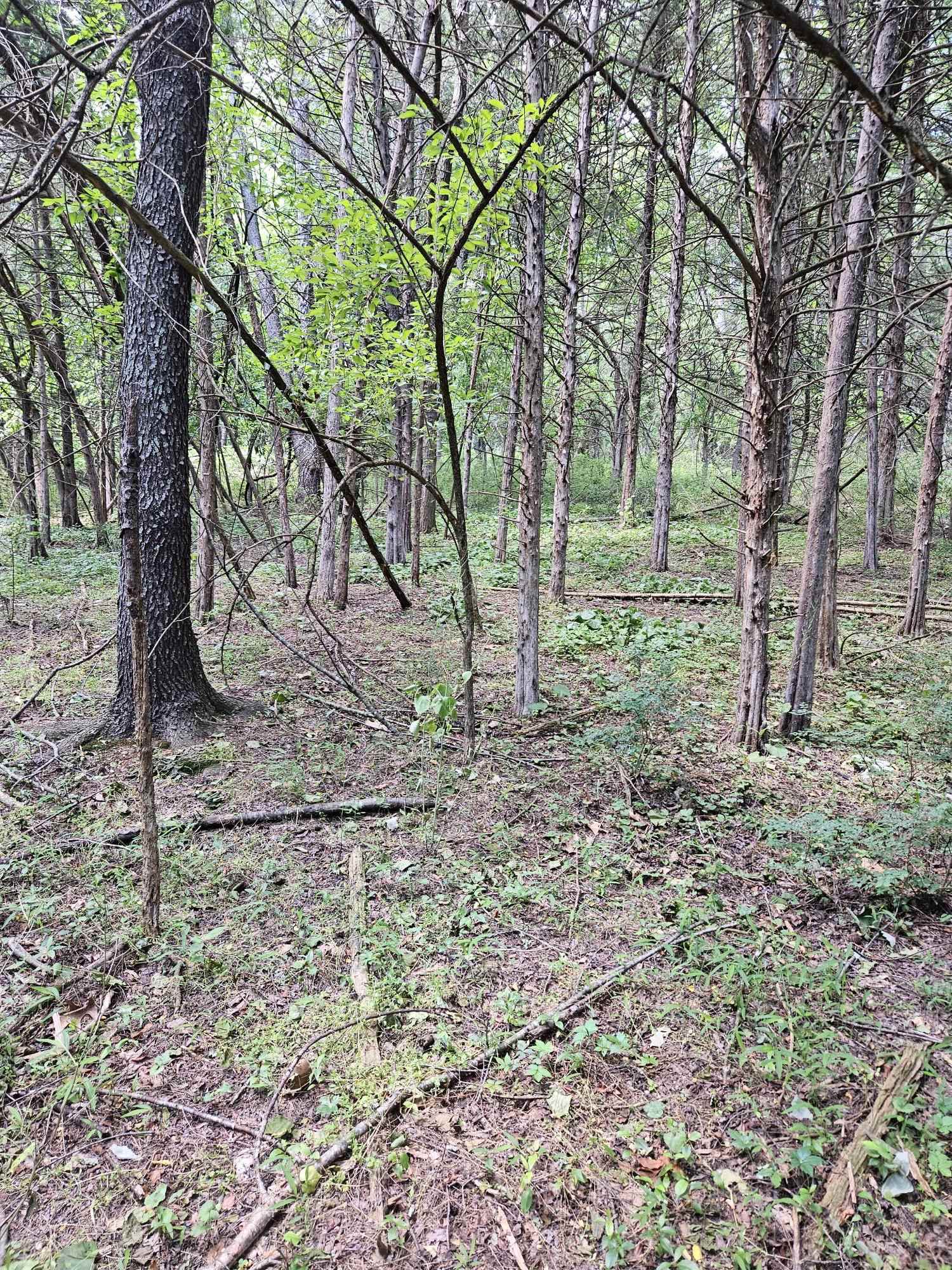 3.39 acres MOSSY CREEK RD, MOUNT SOLON, Virginia 22843, ,Land,3.39 acres MOSSY CREEK RD,669328 MLS # 669328