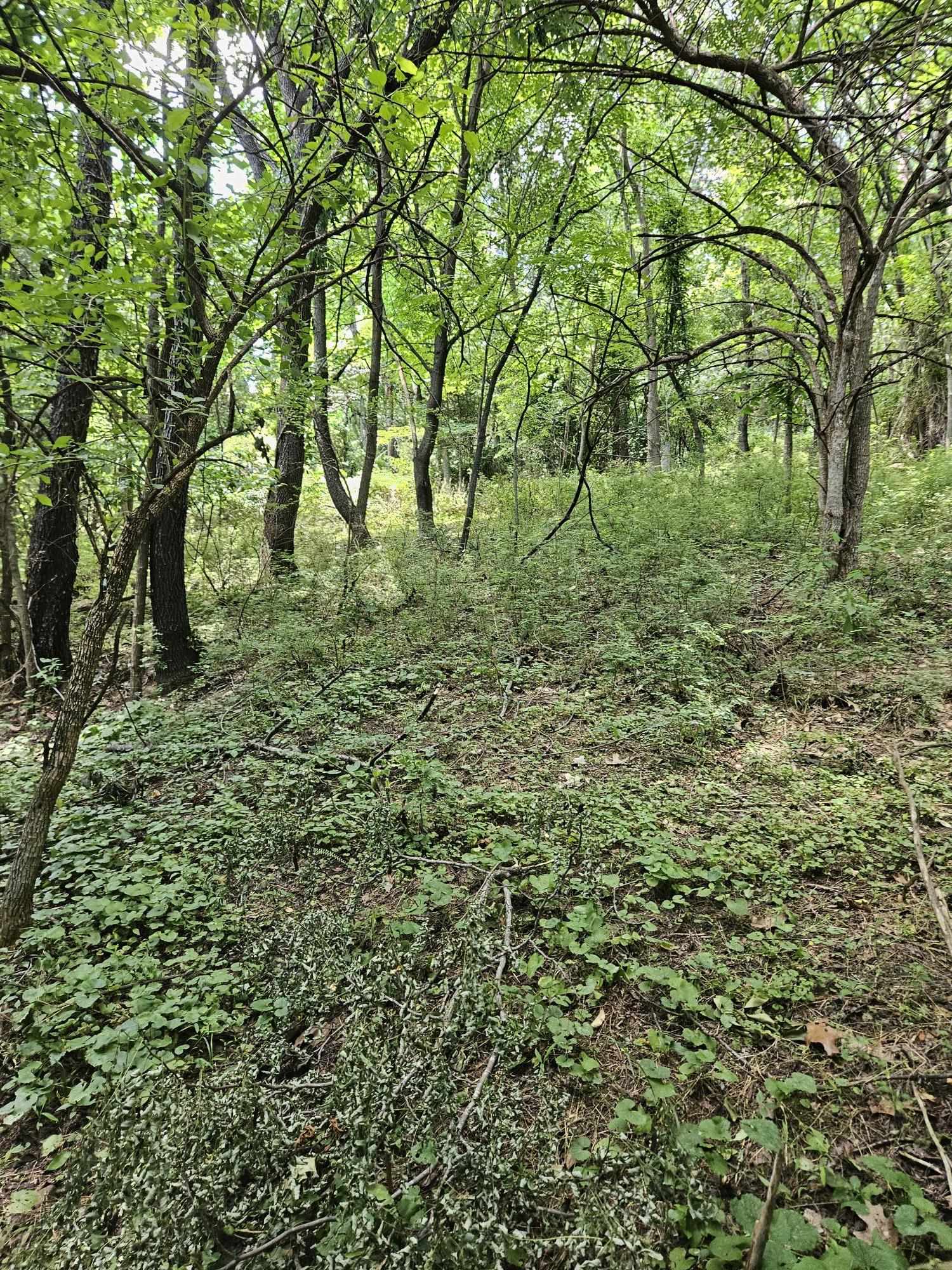 3.39 acres MOSSY CREEK RD, MOUNT SOLON, Virginia 22843, ,Land,3.39 acres MOSSY CREEK RD,669328 MLS # 669328