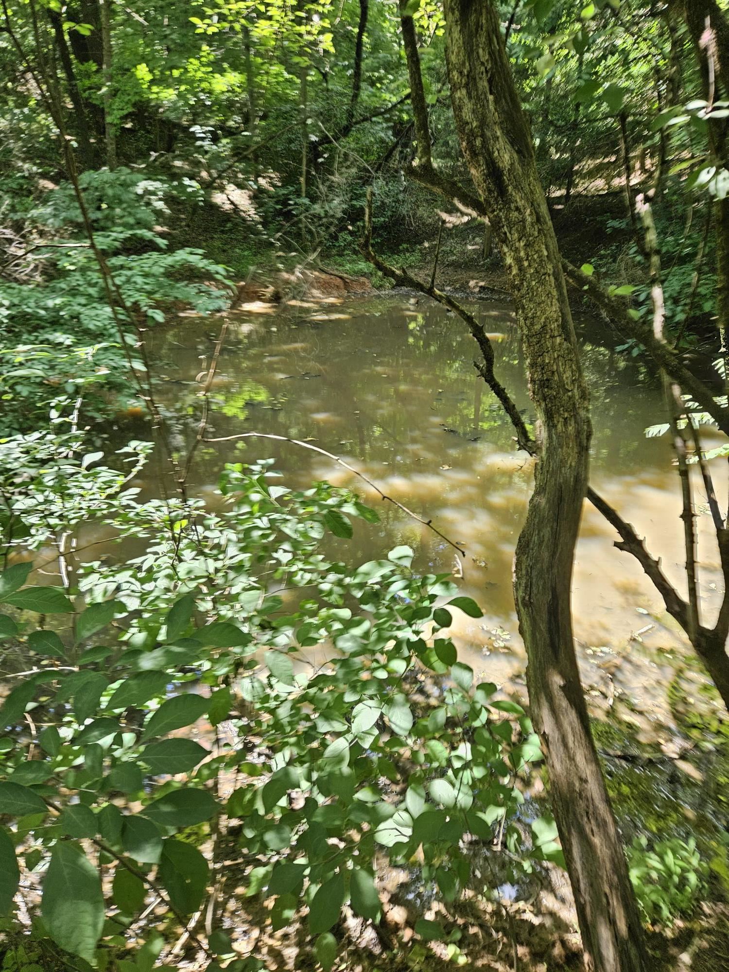 3.39 acres MOSSY CREEK RD, MOUNT SOLON, Virginia 22843, ,Land,3.39 acres MOSSY CREEK RD,669328 MLS # 669328