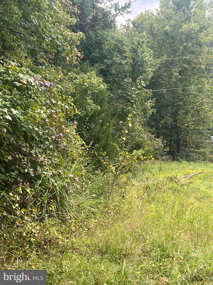 752 WIDEWATER RD, STAFFORD, Virginia 22554, ,Land,For sale,752 WIDEWATER RD,VAST2042876 MLS # VAST2042876