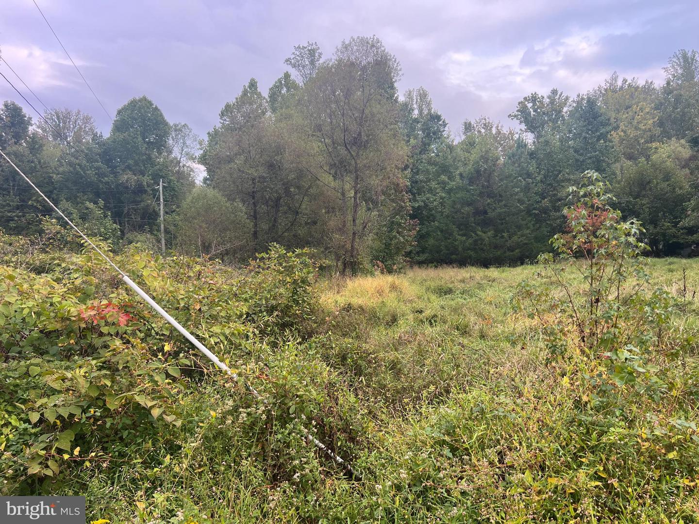 752 WIDEWATER RD, STAFFORD, Virginia 22554, ,Land,For sale,752 WIDEWATER RD,VAST2042876 MLS # VAST2042876