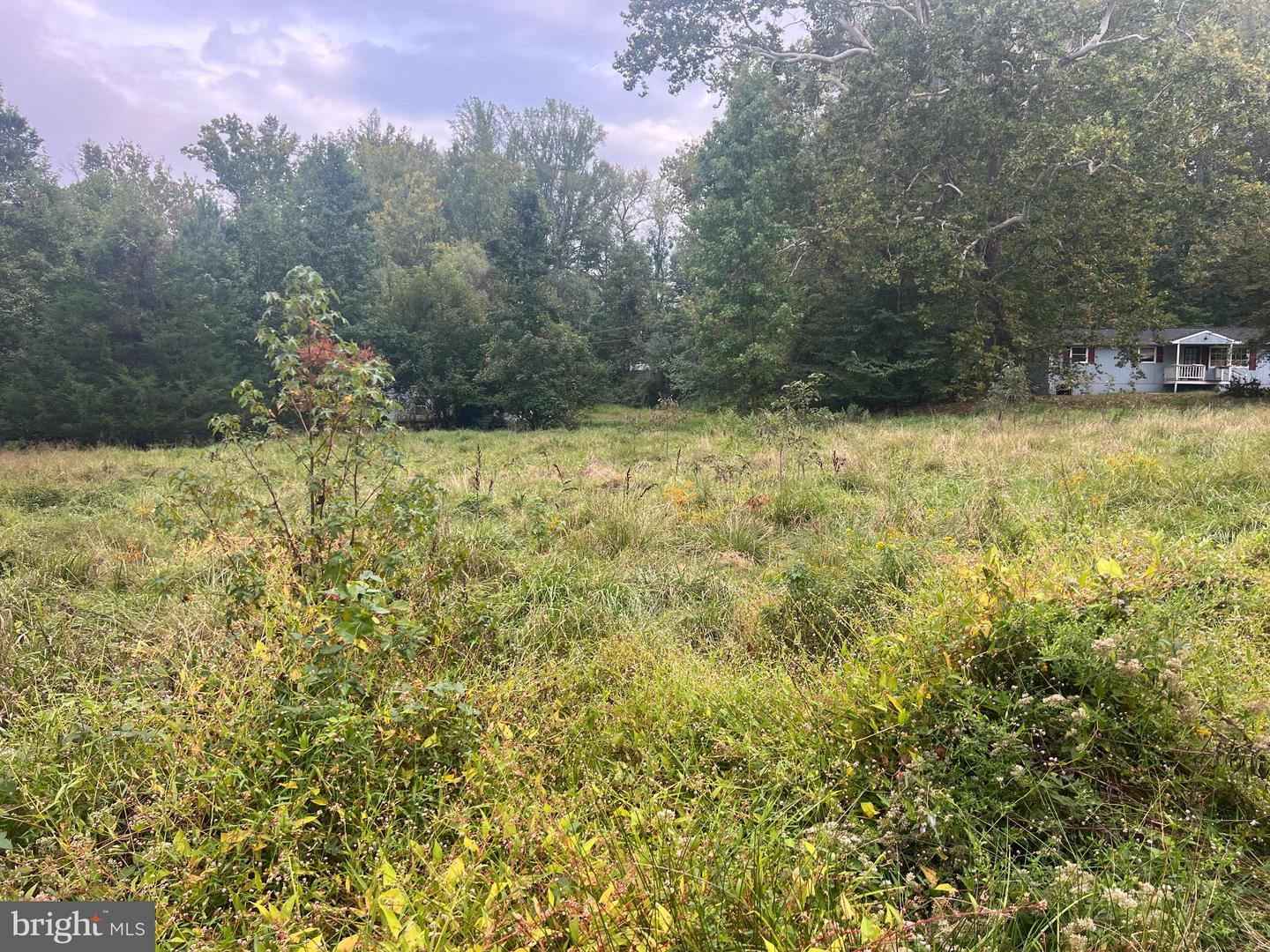 752 WIDEWATER RD, STAFFORD, Virginia 22554, ,Land,For sale,752 WIDEWATER RD,VAST2042876 MLS # VAST2042876