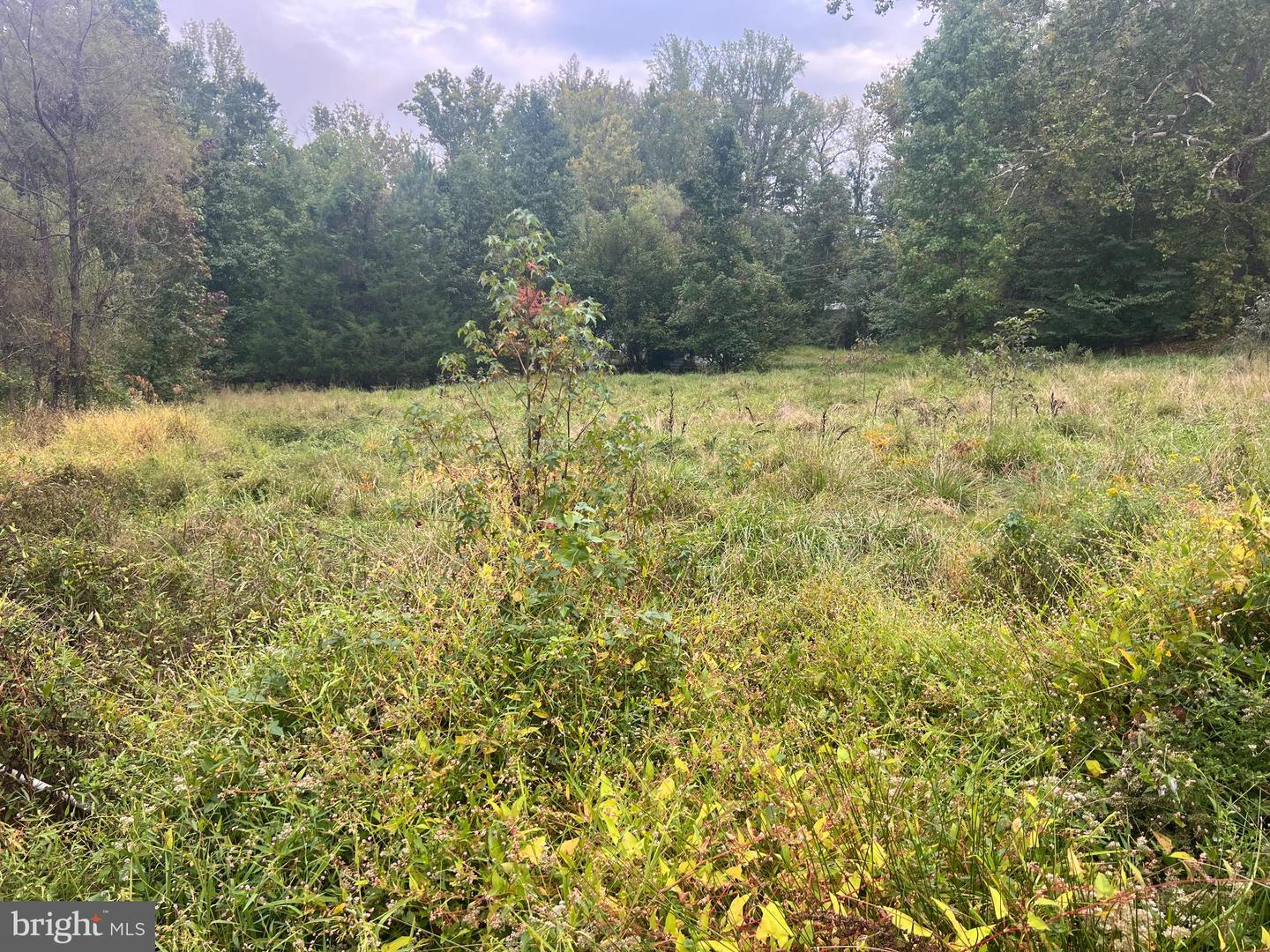 752 WIDEWATER RD, STAFFORD, Virginia 22554, ,Land,For sale,752 WIDEWATER RD,VAST2042876 MLS # VAST2042876