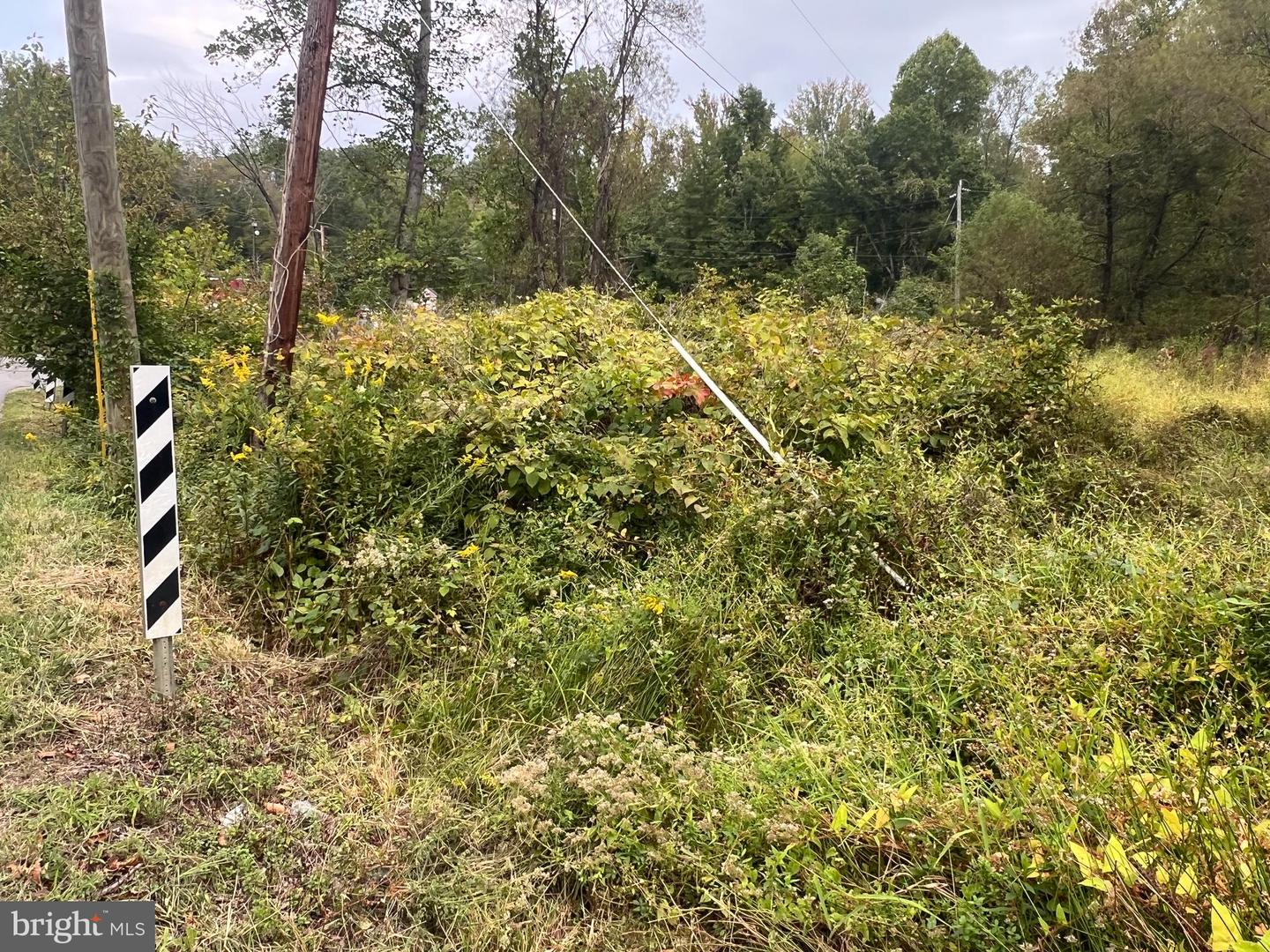 752 WIDEWATER RD, STAFFORD, Virginia 22554, ,Land,For sale,752 WIDEWATER RD,VAST2042876 MLS # VAST2042876