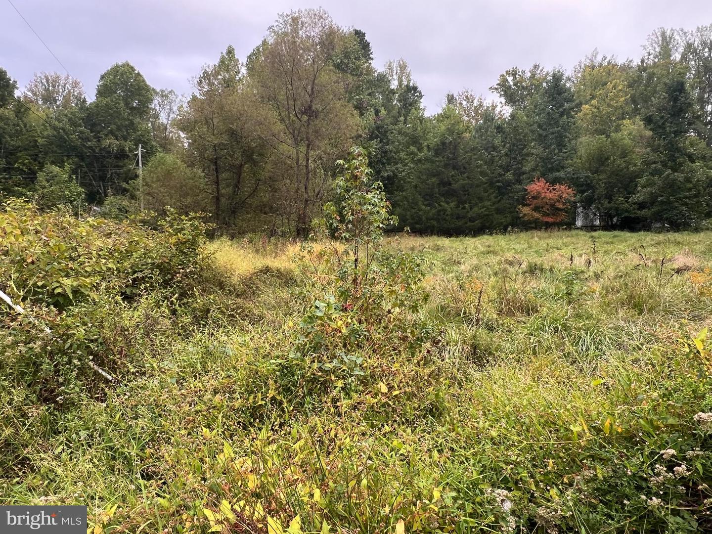 752 WIDEWATER RD, STAFFORD, Virginia 22554, ,Land,For sale,752 WIDEWATER RD,VAST2042876 MLS # VAST2042876
