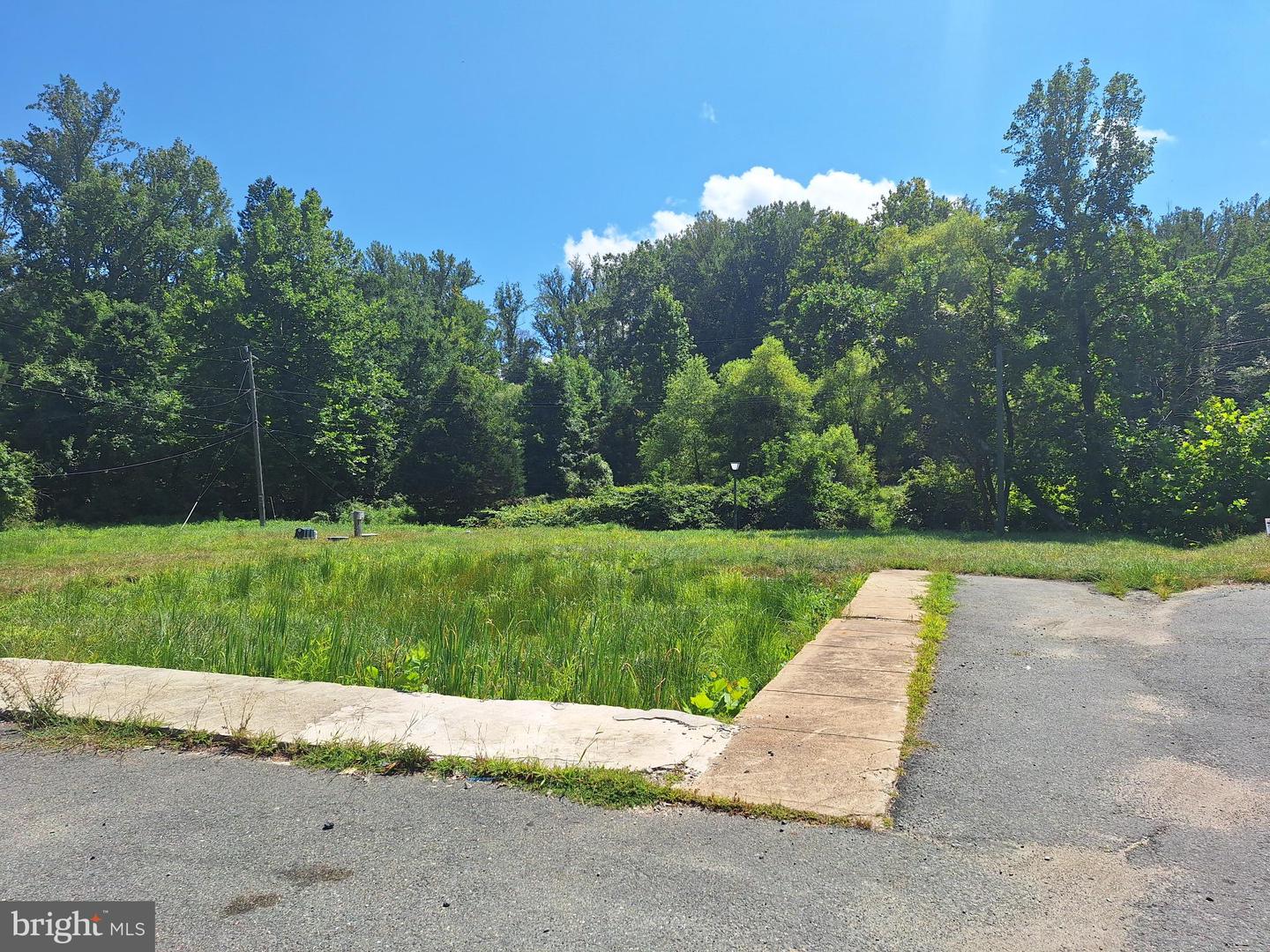 752 WIDEWATER RD, STAFFORD, Virginia 22554, ,Land,For sale,752 WIDEWATER RD,VAST2042876 MLS # VAST2042876