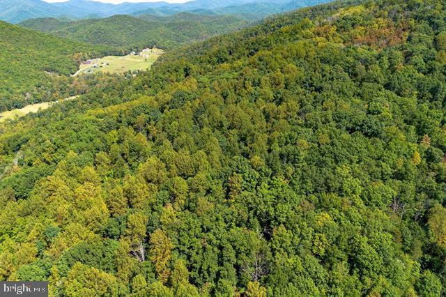 FOREST HOMES DRIVE, ELKTON, Virginia 22827, ,Land,For sale,FOREST HOMES DRIVE,VARO2002600 MLS # VARO2002600