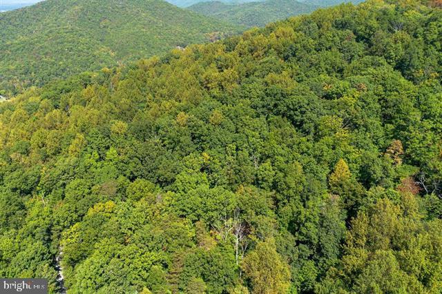 FOREST HOMES DRIVE, ELKTON, Virginia 22827, ,Land,For sale,FOREST HOMES DRIVE,VARO2002600 MLS # VARO2002600