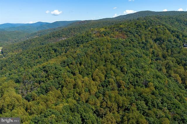 FOREST HOMES DRIVE, ELKTON, Virginia 22827, ,Land,For sale,FOREST HOMES DRIVE,VARO2002600 MLS # VARO2002600