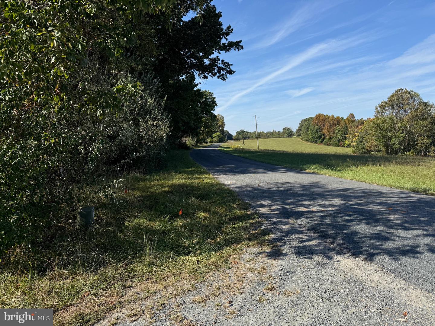 0 COLEMAN MOUNTAIN RD, APPOMATTOX, Virginia 24522, ,Farm,For sale,0 COLEMAN MOUNTAIN RD,VAAV2000038 MLS # VAAV2000038