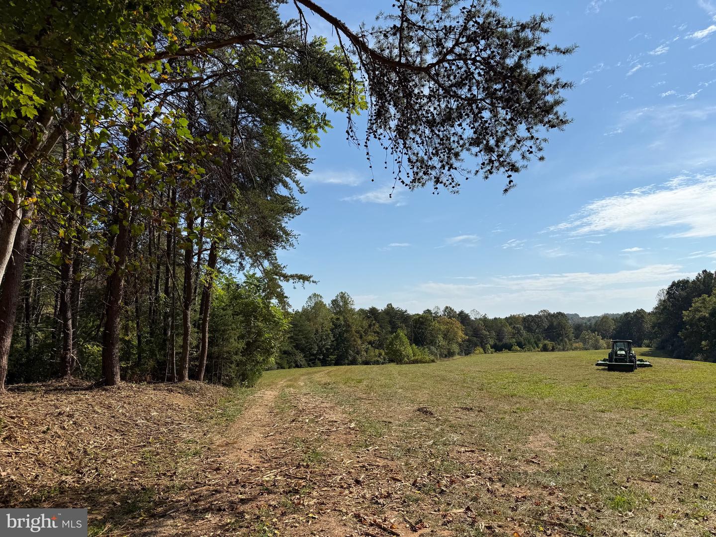 0 COLEMAN MOUNTAIN RD, APPOMATTOX, Virginia 24522, ,Farm,For sale,0 COLEMAN MOUNTAIN RD,VAAV2000038 MLS # VAAV2000038