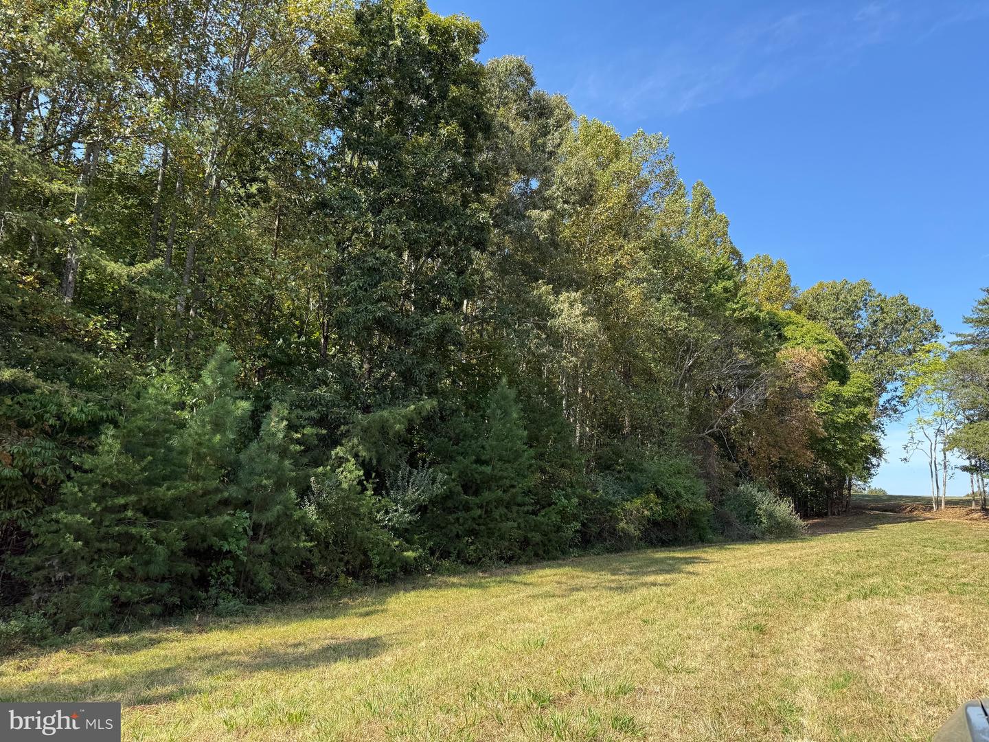0 COLEMAN MOUNTAIN RD, APPOMATTOX, Virginia 24522, ,Farm,For sale,0 COLEMAN MOUNTAIN RD,VAAV2000038 MLS # VAAV2000038