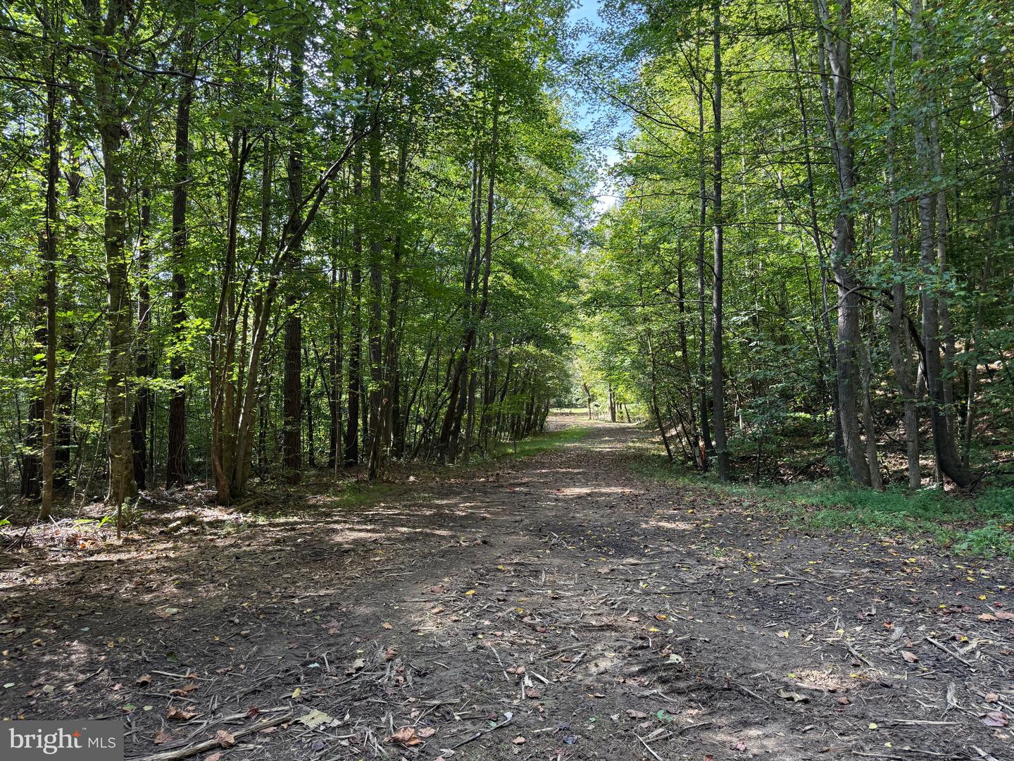 0 COLEMAN MOUNTAIN RD, APPOMATTOX, Virginia 24522, ,Farm,For sale,0 COLEMAN MOUNTAIN RD,VAAV2000038 MLS # VAAV2000038