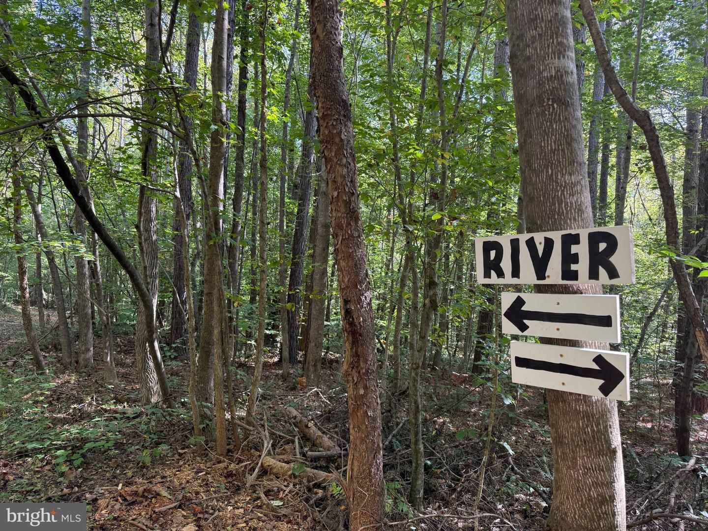 0 COLEMAN MOUNTAIN RD, APPOMATTOX, Virginia 24522, ,Farm,For sale,0 COLEMAN MOUNTAIN RD,VAAV2000038 MLS # VAAV2000038