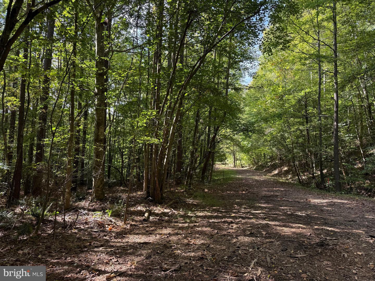 0 COLEMAN MOUNTAIN RD, APPOMATTOX, Virginia 24522, ,Farm,For sale,0 COLEMAN MOUNTAIN RD,VAAV2000038 MLS # VAAV2000038