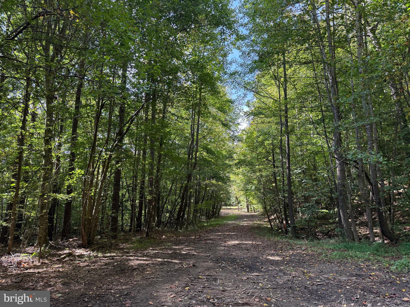 0 COLEMAN MOUNTAIN RD, APPOMATTOX, Virginia 24522, ,Farm,For sale,0 COLEMAN MOUNTAIN RD,VAAV2000038 MLS # VAAV2000038