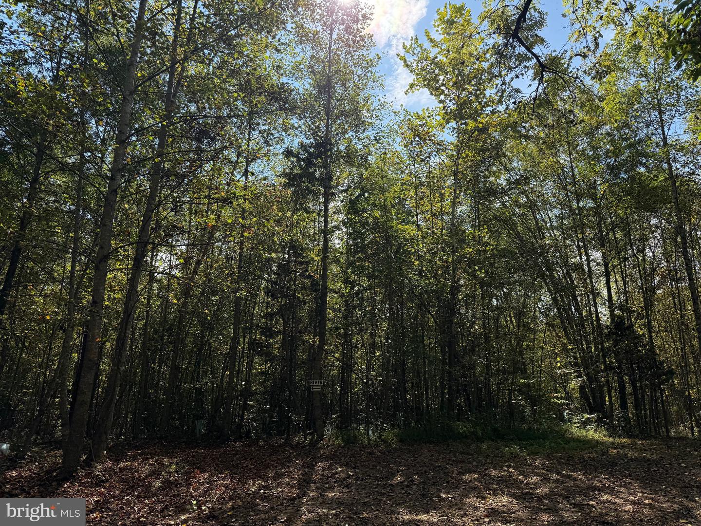0 COLEMAN MOUNTAIN RD, APPOMATTOX, Virginia 24522, ,Farm,For sale,0 COLEMAN MOUNTAIN RD,VAAV2000038 MLS # VAAV2000038