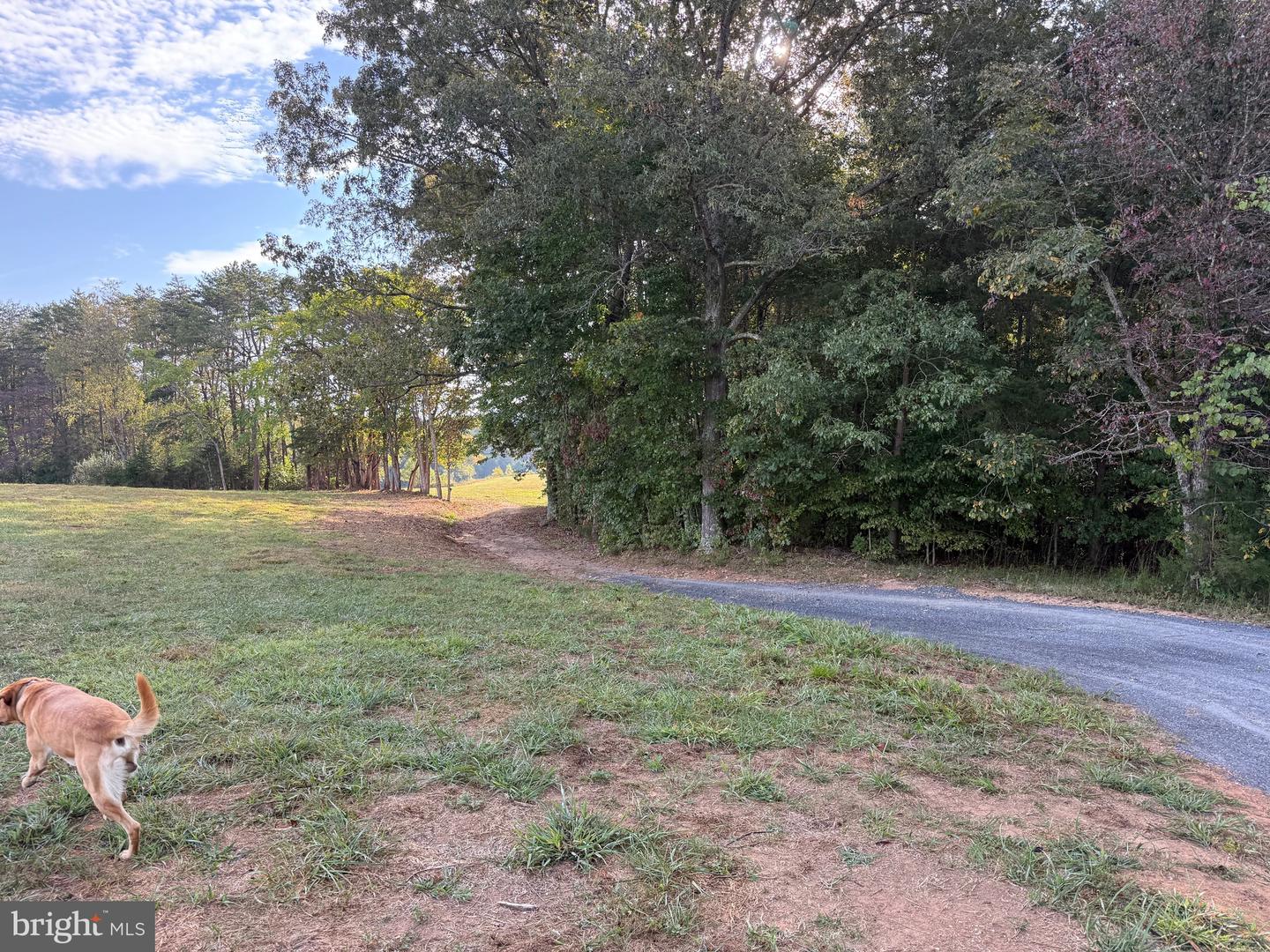 0 COLEMAN MOUNTAIN RD, APPOMATTOX, Virginia 24522, ,Farm,For sale,0 COLEMAN MOUNTAIN RD,VAAV2000038 MLS # VAAV2000038