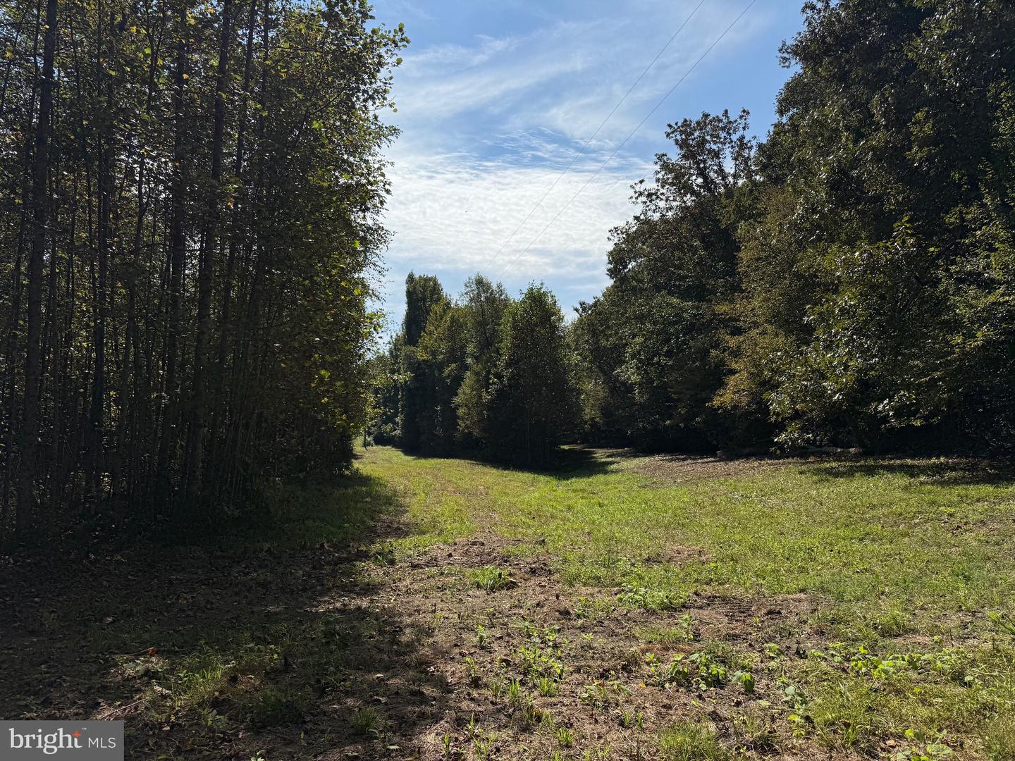 0 COLEMAN MOUNTAIN RD, APPOMATTOX, Virginia 24522, ,Farm,For sale,0 COLEMAN MOUNTAIN RD,VAAV2000038 MLS # VAAV2000038