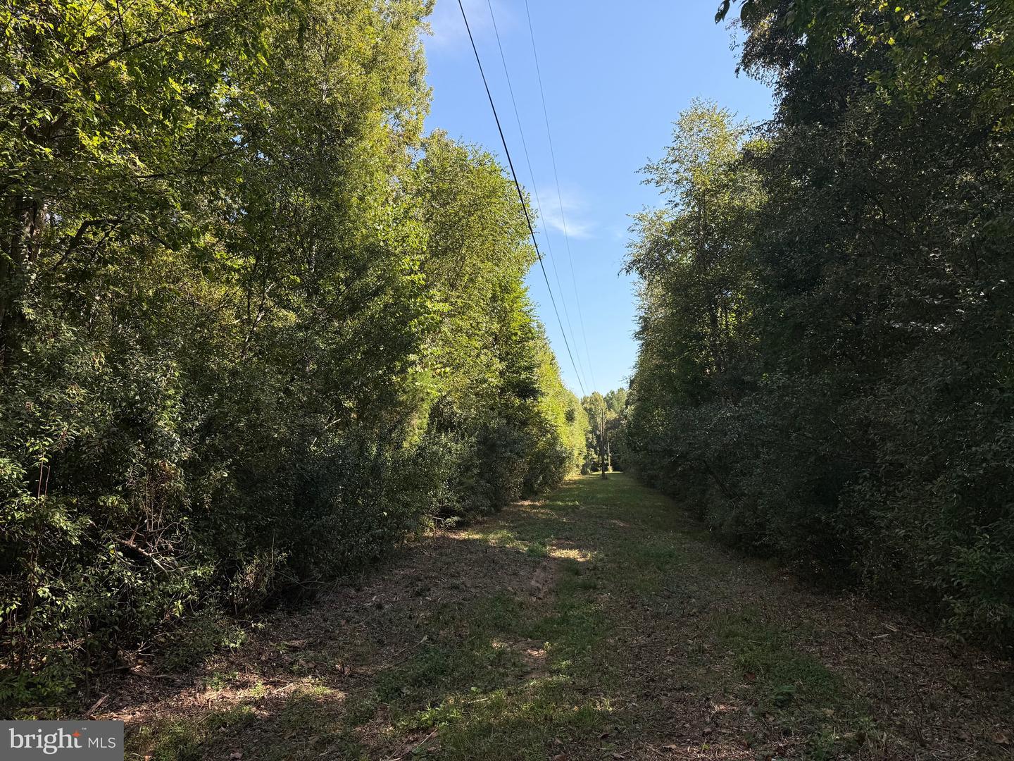 0 COLEMAN MOUNTAIN RD, APPOMATTOX, Virginia 24522, ,Farm,For sale,0 COLEMAN MOUNTAIN RD,VAAV2000038 MLS # VAAV2000038