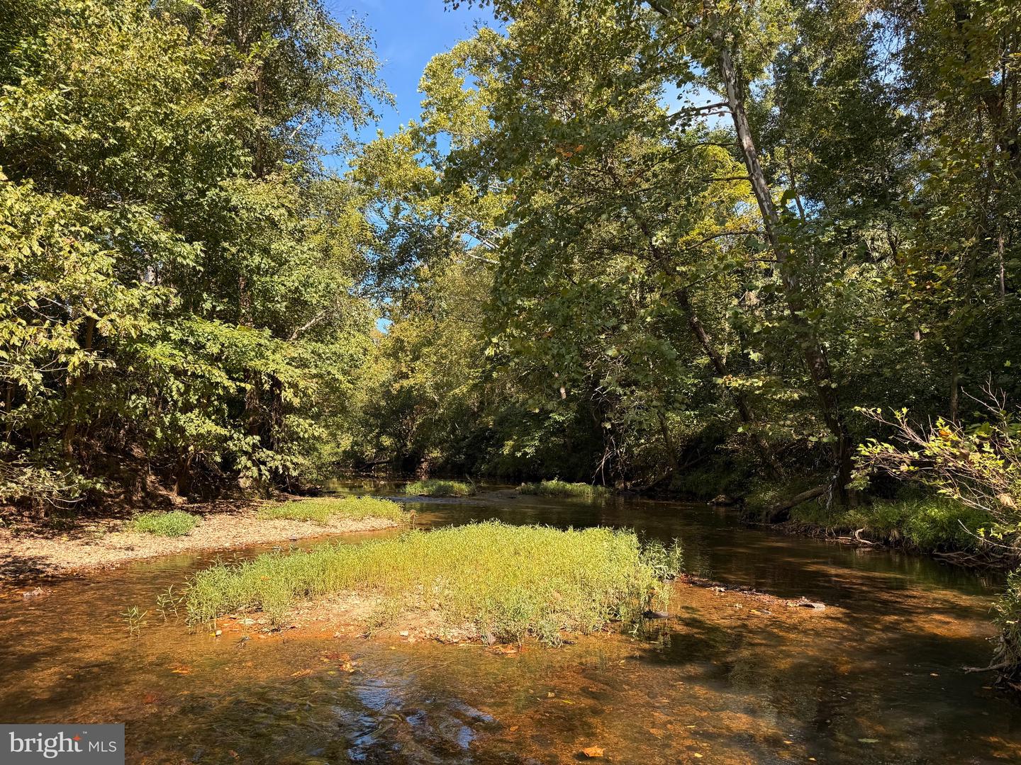 0 COLEMAN MOUNTAIN RD, APPOMATTOX, Virginia 24522, ,Farm,For sale,0 COLEMAN MOUNTAIN RD,VAAV2000038 MLS # VAAV2000038