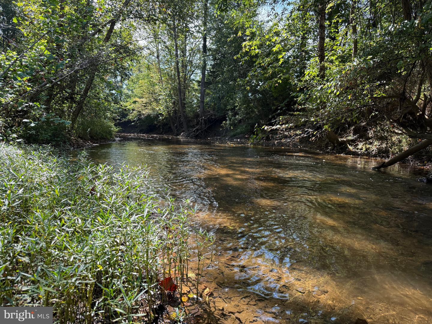 0 COLEMAN MOUNTAIN RD, APPOMATTOX, Virginia 24522, ,Farm,For sale,0 COLEMAN MOUNTAIN RD,VAAV2000038 MLS # VAAV2000038