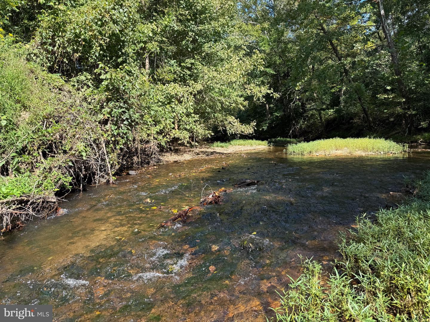 0 COLEMAN MOUNTAIN RD, APPOMATTOX, Virginia 24522, ,Farm,For sale,0 COLEMAN MOUNTAIN RD,VAAV2000038 MLS # VAAV2000038