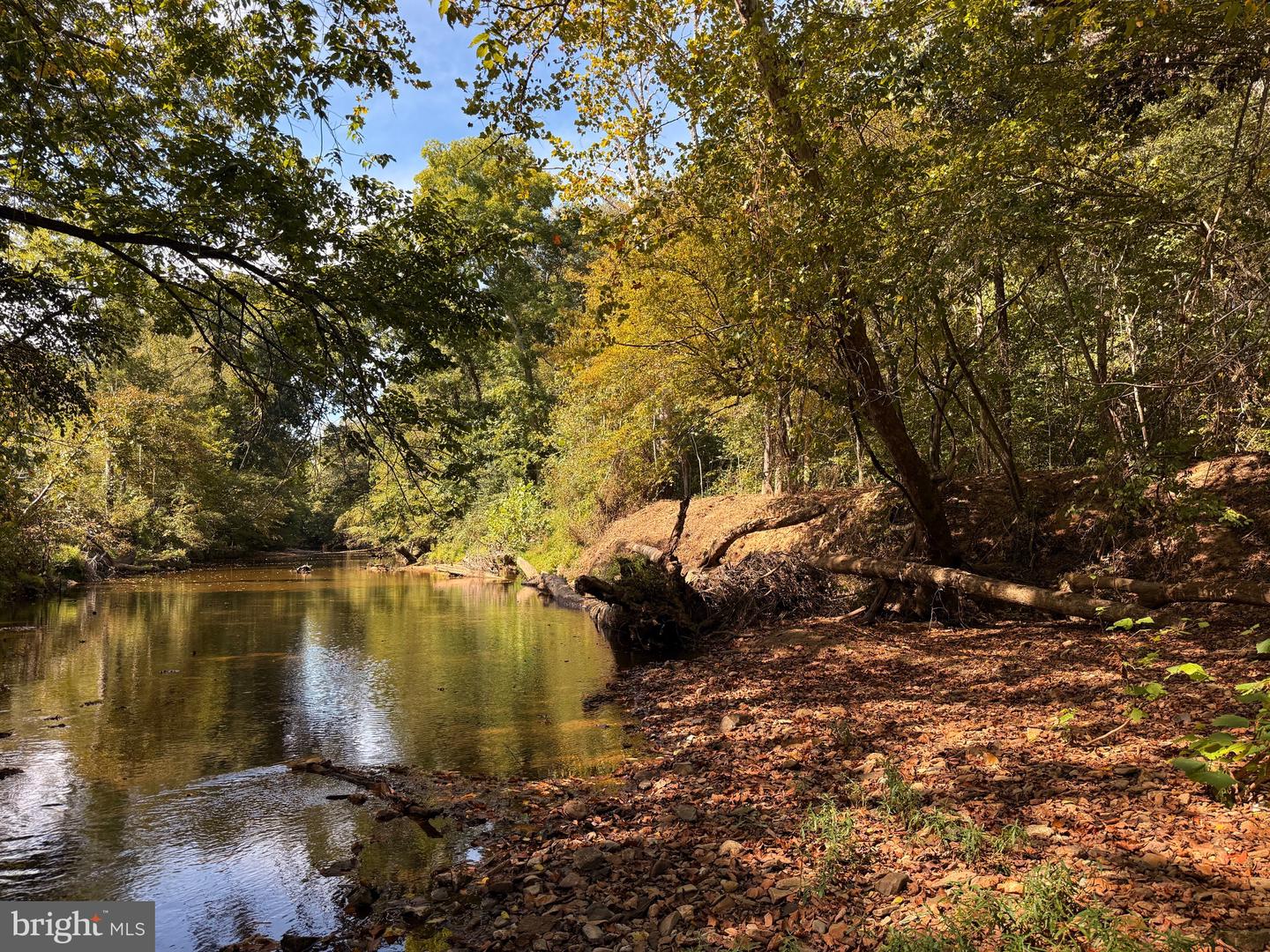 0 COLEMAN MOUNTAIN RD, APPOMATTOX, Virginia 24522, ,Farm,For sale,0 COLEMAN MOUNTAIN RD,VAAV2000038 MLS # VAAV2000038