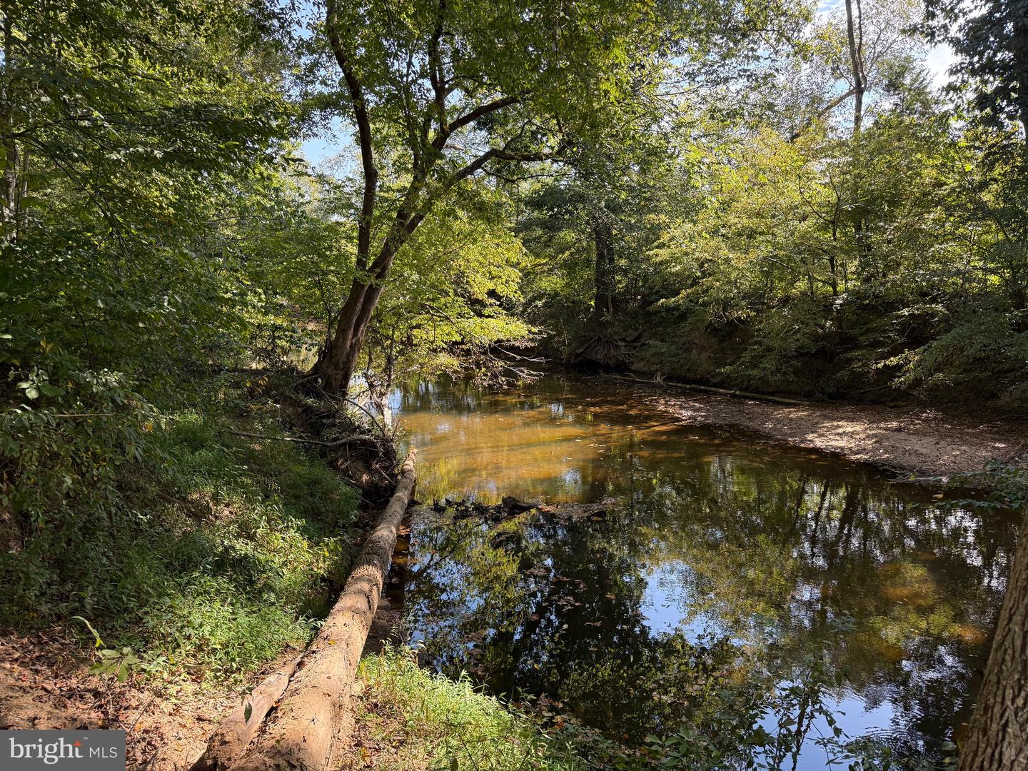 0 COLEMAN MOUNTAIN RD, APPOMATTOX, Virginia 24522, ,Farm,For sale,0 COLEMAN MOUNTAIN RD,VAAV2000038 MLS # VAAV2000038