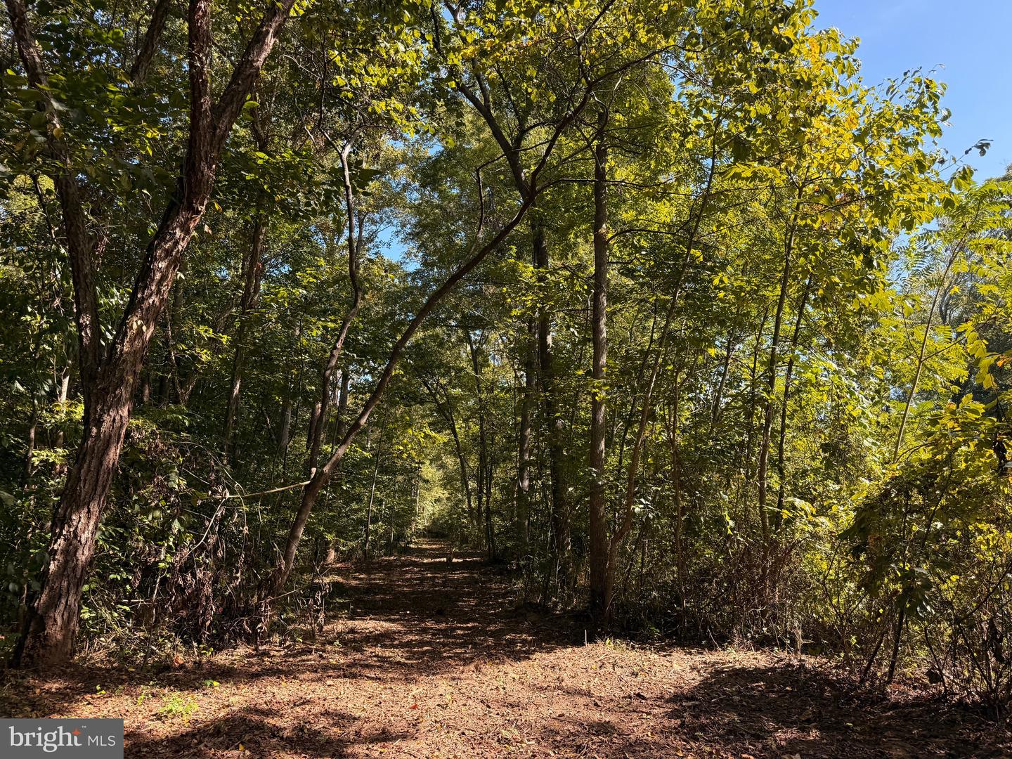 0 COLEMAN MOUNTAIN RD, APPOMATTOX, Virginia 24522, ,Farm,For sale,0 COLEMAN MOUNTAIN RD,VAAV2000038 MLS # VAAV2000038